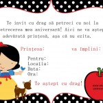 alba ca zapada invitatii, invitatii petrecere, invitatii de party, invitatii petrecere cu alba ca zapada