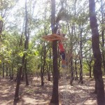 Parc de Aventura, parc de Aventura pentru copii, saptamana altfel in parc de Aventura, Activitati de Aventura ce sprijină dezvoltarea armonioasă a copiilor. 3 trasee de aventură pentru copii îi invită la joacă în mijlocul, parc de aventură la standarde internaționale, Aventură printre copaci pentru părinți și copii, Vizitati parcul de Aventura, Parcul de aventură este dotat cu 12 trasee de aventură, dintre care 10 suspendate şi două tiroliene. Pentru cei mici au fost realizate trei trasee,parc aventura cernica, parc de Aventura cluj, petrecere de Aventura, petrecere de Aventura pentru copii, evenimente cu activitati de Aventura, activitati extrascolare in parc de Aventura, excursie in parc de Aventura, petreceri aniversare in parc de Aventura, party cu activitati de Aventura, petreceri pentru copii in parc de aventura