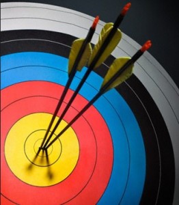 tir cu arcul, ateliere tir cu arcul, workshop tir cu arcul,Tinta tir cu arcul