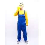 animator minion, animator costumat in minion