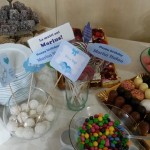 propsuri candy bar pt botez