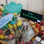 propsuri pt candy bar decor botez